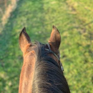 Meet your Posher, Jenny